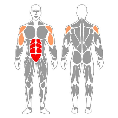 Abdominales con roller