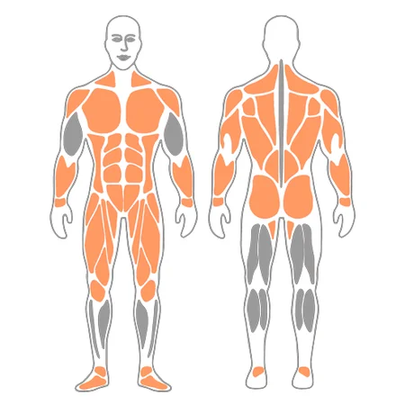 Desplazamiento adelante en plancha con banda de resistencia