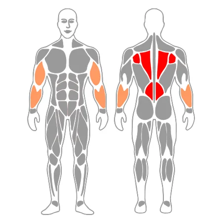 Dominadas de pie en maquina asistida