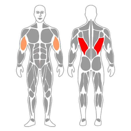 Dominadas en maquina rodillas flexionadas