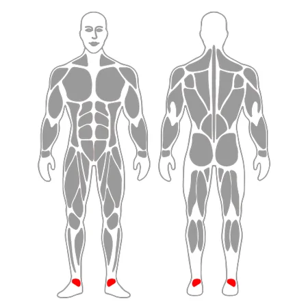 Movilización para dorsiflexión de tobillo