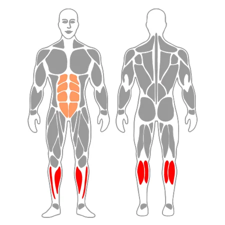 Elevación de gemelos de pie con mancuernas
