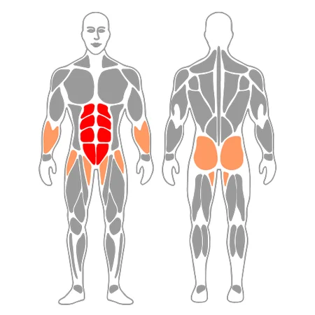 Elevación de piernas estiradas en suspension