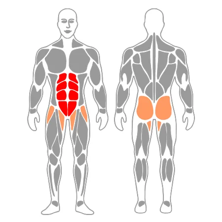 Elevación de piernas flexionadas en suspension