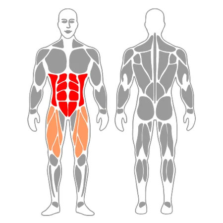 Encogimientos: codo contrario busca rodilla flexionada