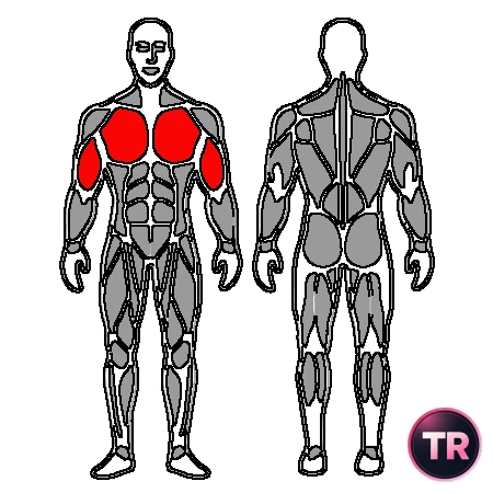 Stretch of biceps and chest