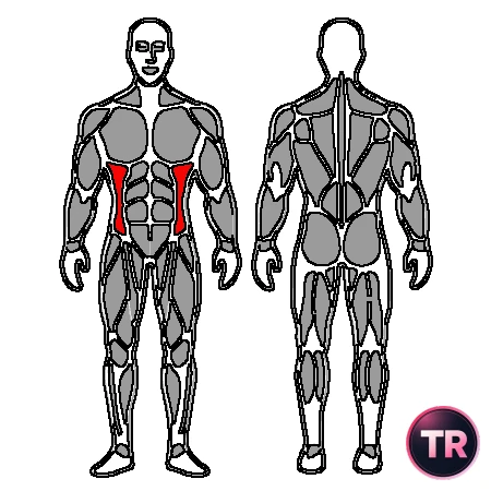 Stretch of abs obliques standing