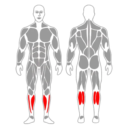 Estiramiento de tibial anterior de rodillas