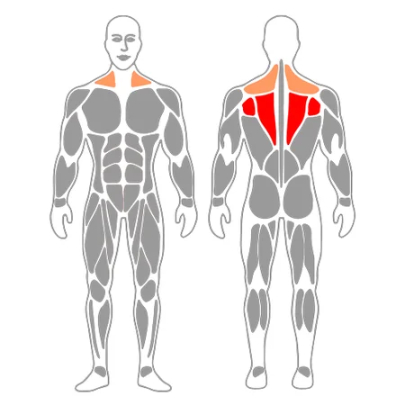 Estiramiento enhebrar aguja