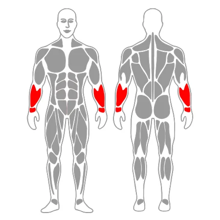 Estiramiento de extensores de muñeca