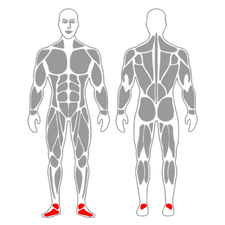 Estiramiento de la fascia plantar