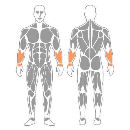 Estiramiento de los flexores de la muñeca