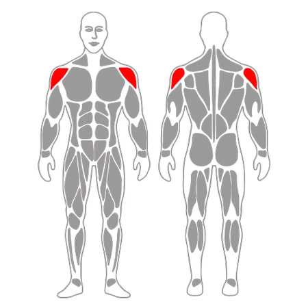 Estiramiento hombro posterior