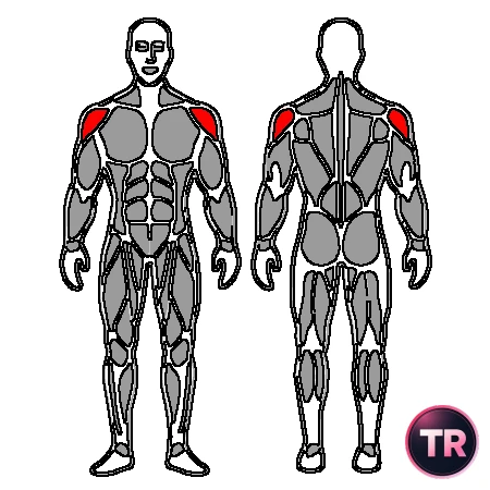 Shoulder stretch: rotation internal