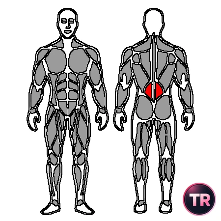 Estiramiento lumbar de rodillas