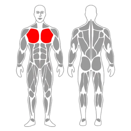 Estiramiento pectoral con el brazo flexionado y apoyado