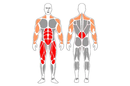 Estiramiento del piramidal