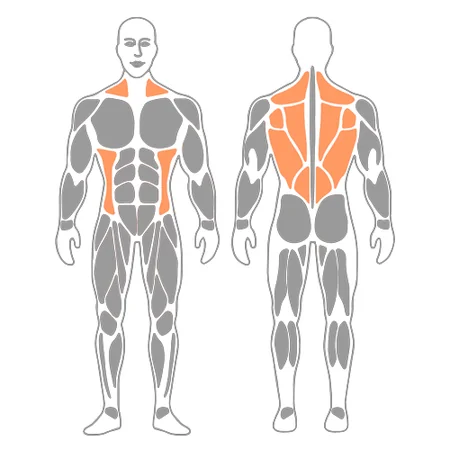 Rotación torácica sentado