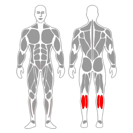 Excéntrico de soleo