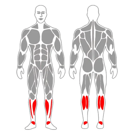 Extensión de gemelos en maquina de prensa horizontal