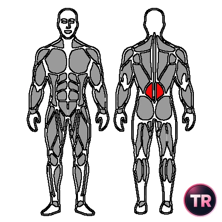 Extensión lumbar sobre pelota con mancuernas