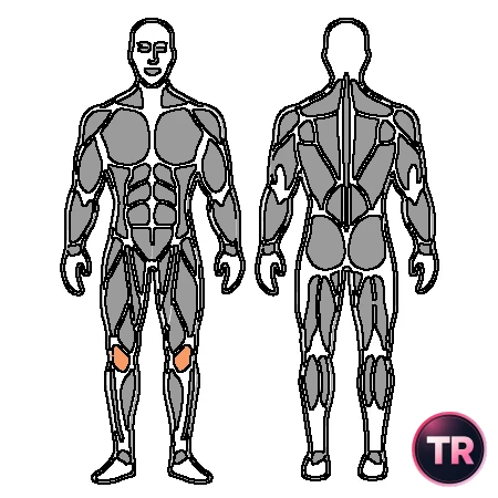 Extensión de rodilla por gravedad