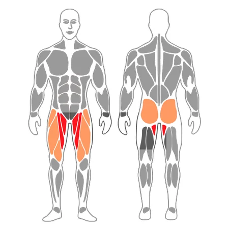 Extensión de piernas con activación del adductor