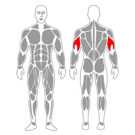 Extensión de triceps con goma elástica
