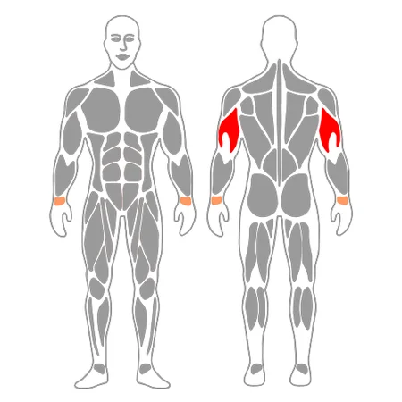 Extensión de triceps a una mano tumbado en banco