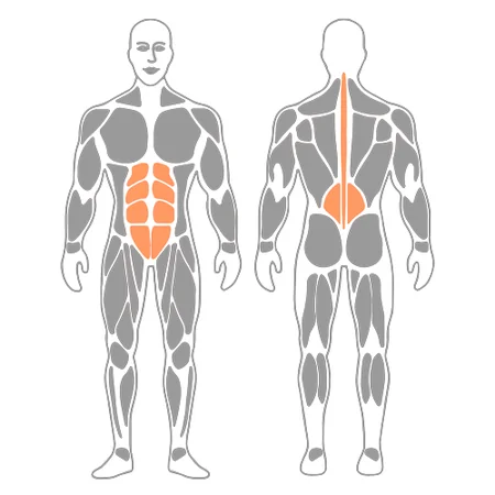 Extensión de tronco tumbado prono