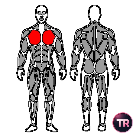 Aperturas pectoral con mancuernas en banco plano