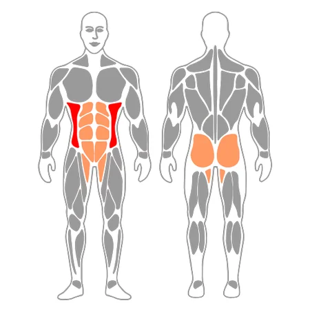 Flexión de tronco y de caderas simultáneamente