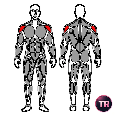 Flexion des épaules active avec bâton