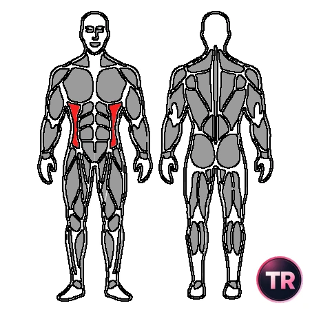 Flexión lateral de tronco con mancuerna