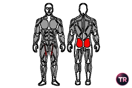 Fortalecimiento de gluteo medio y menor