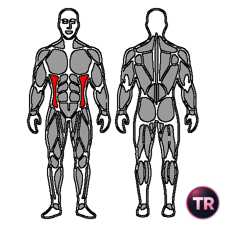 Giros abdominales con botella de agua