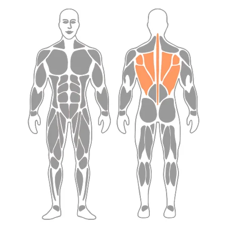 Automasaje de la columna torácica