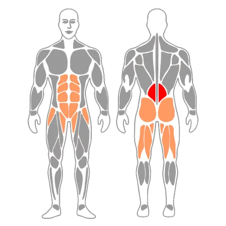 Flexión de tronco inclinado hacia delante
