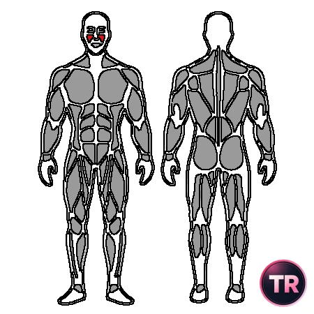 Self-massage of the masseter