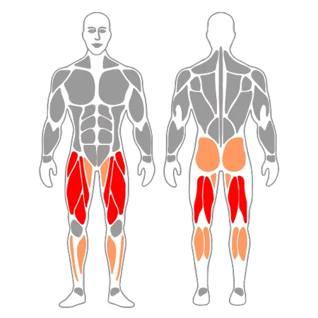 Media sentadilla con piernas cruzadas, brazos adelante