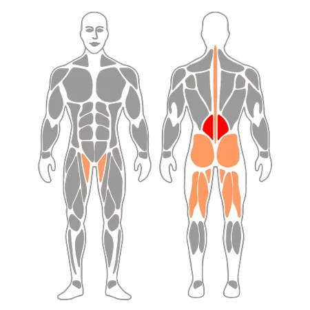 Peso muerto a una pierna con mancuernas