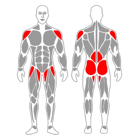 Plancha y flexión de piernas