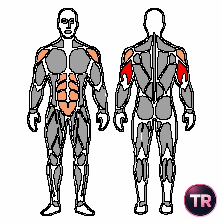 Plancha y extensión de tríceps