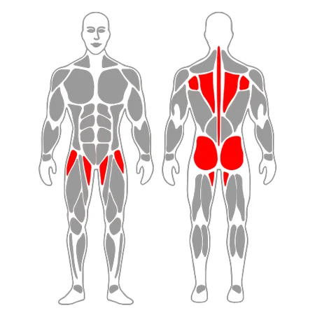 Balanceo adelante en cuadrupedia