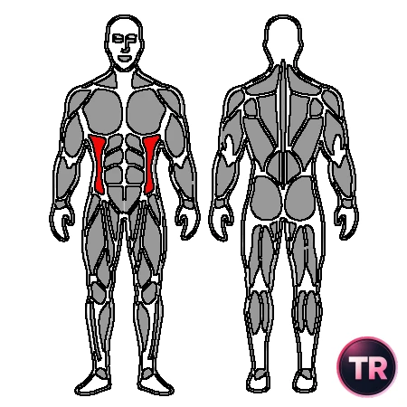 Plancha lateral con apoyo rodillas