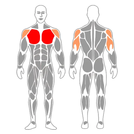 Press de banca con barra