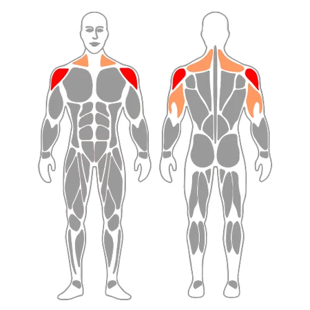 Press de hombro con mancuerna a una mano y apoyo