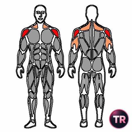 Shoulder press with dumbbell one-arm and support