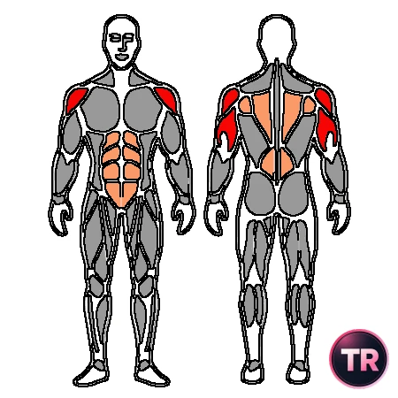 Shoulder press behind the neck with barbell standing