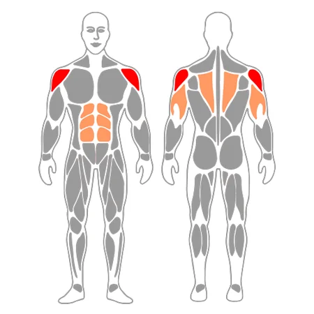 Press frontal de hombro con barra sentado con respaldo